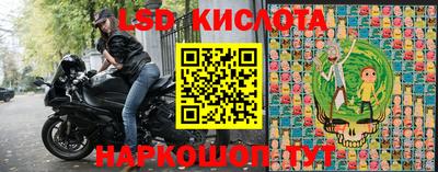 прущие грибы Можайск