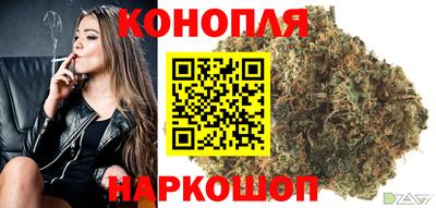 прущие грибы Можайск