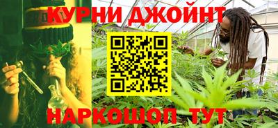 прущие грибы Можайск