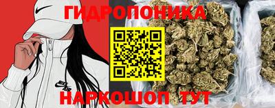 прущие грибы Можайск