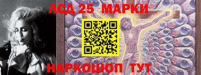 прущие грибы Можайск