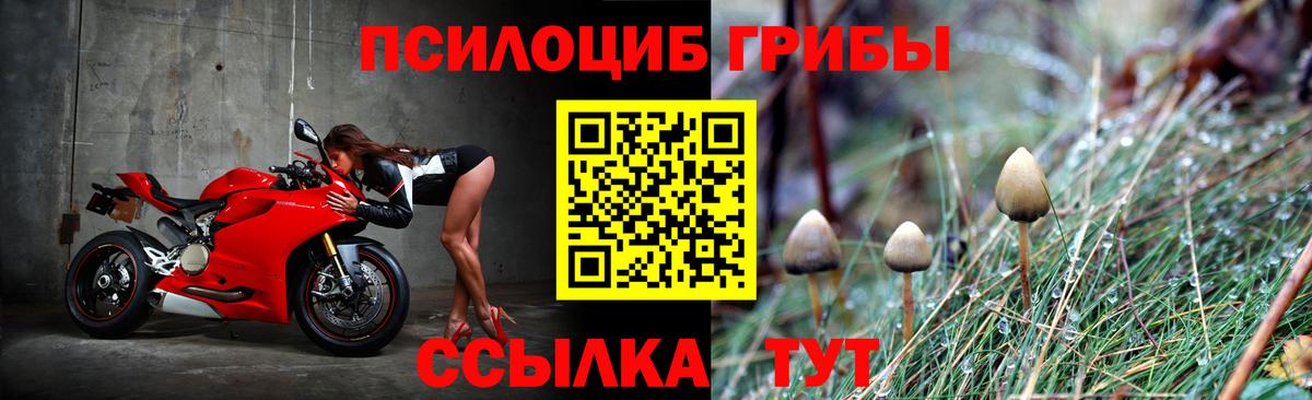 Ангарск  Галлюциногенные грибы прущие грибы  Вход с VPN  дарнет шоп  Псилоцибиновые грибы мицелий 